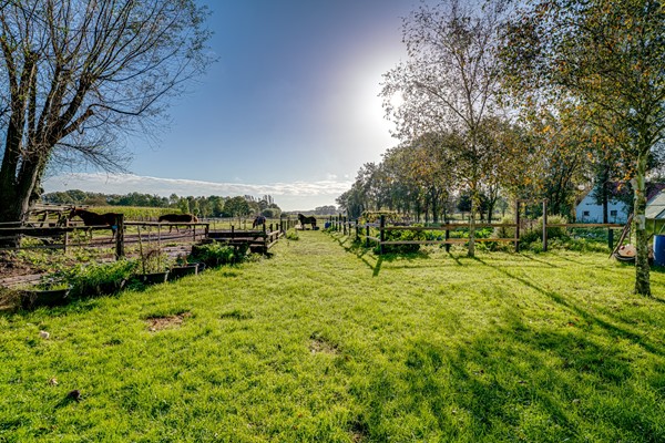 Medium property photo - Peppelmansdijk 12, 7011 JL Gaanderen